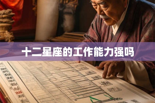 十二星座的工作能力强吗