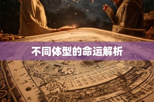 不同体型的命运解析 不同体型的命运解析