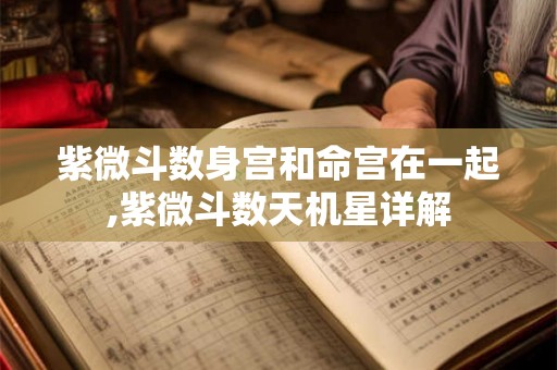 紫微斗数身宫和命宫在一起,紫微斗数天机星详解