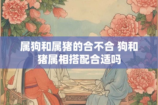 属狗和属猪的合不合 狗和猪属相搭配合适吗