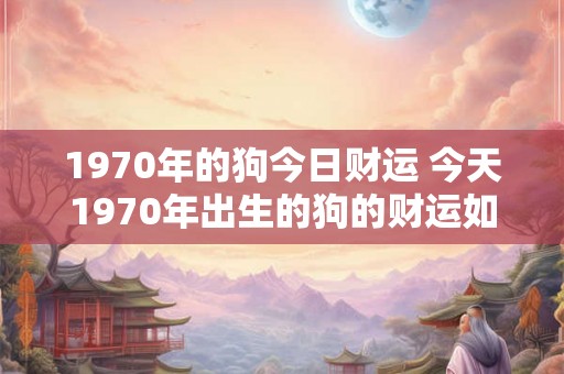 1970年的狗今日财运 今天1970年出生的狗的财运如何