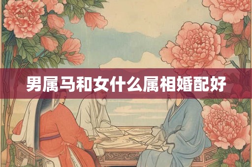 男属马和女什么属相婚配好