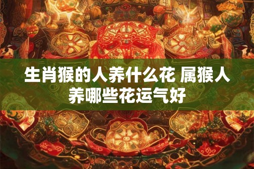 生肖猴的人养什么花 属猴人养哪些花运气好
