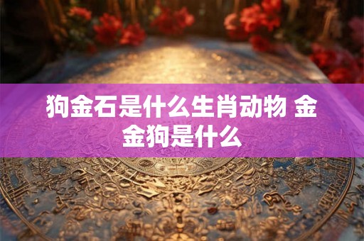 狗金石是什么生肖动物 金金狗是什么