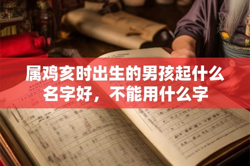 属鸡亥时出生的男孩起什么名字好，不能用什么字