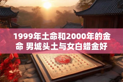 1999年土命和2000年的金命 男城头土与女白蜡金好吗
