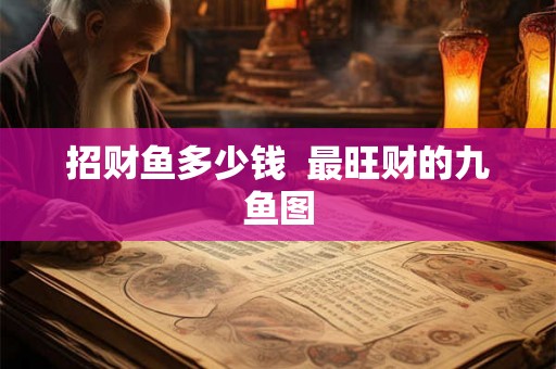 招财鱼多少钱  最旺财的九鱼图