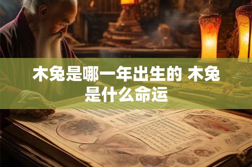 木兔是哪一年出生的 木兔是什么命运