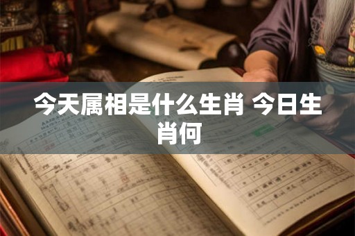 今天属相是什么生肖 今日生肖何