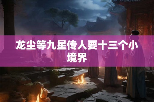 龙尘等九星传人要十三个小境界