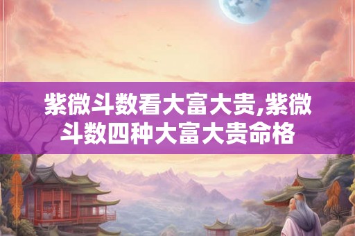 紫微斗数看大富大贵,紫微斗数四种大富大贵命格
