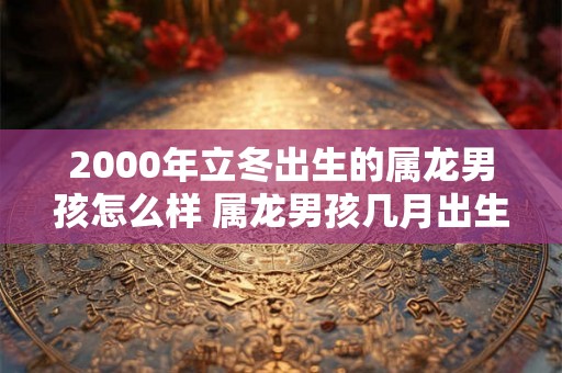 2000年立冬出生的属龙男孩怎么样 属龙男孩几月出生命好