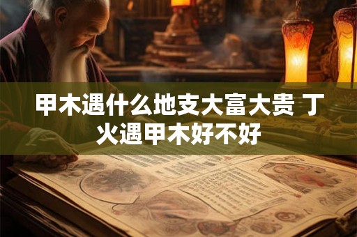 甲木遇什么地支大富大贵 丁火遇甲木好不好