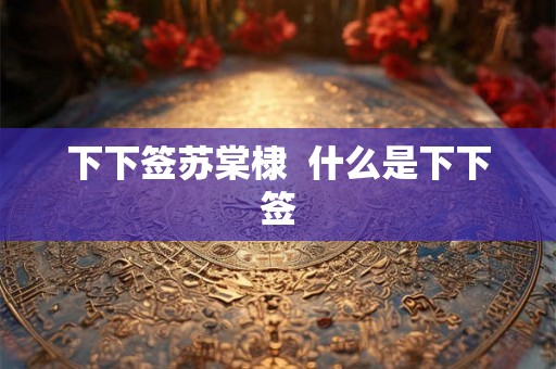 下下签苏棠棣  什么是下下签