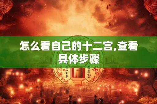 怎么看自己的十二宫,查看具体步骤