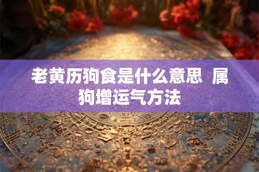 老黄历狗食是什么意思 属狗增运气方法 老黄历狗食是什么意思 属狗增运气方法