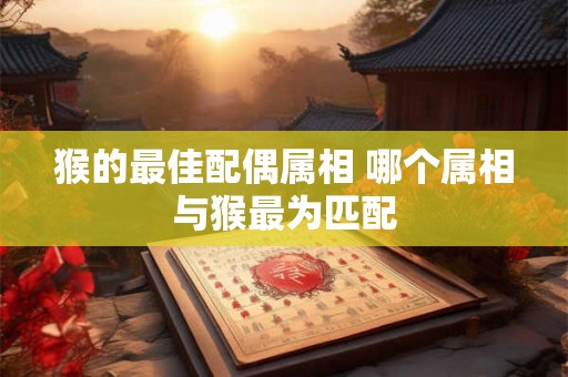 猴的最佳配偶属相 哪个属相与猴最为匹配