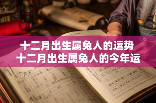 十二月出生属兔人的运势 十二月出生属兔人的今年运势如何