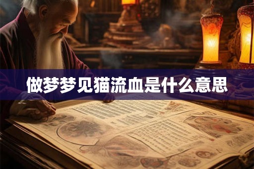 做梦梦见猫流血是什么意思