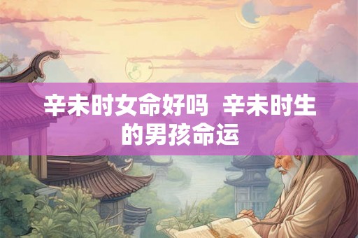 辛未时女命好吗  辛未时生的男孩命运
