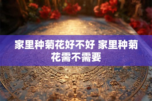家里种菊花好不好 家里种菊花需不需要