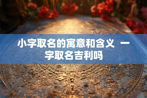 小字取名的寓意和含义  一字取名吉利吗