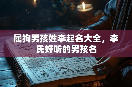 属狗男孩姓李起名大全，李氏好听的男孩名