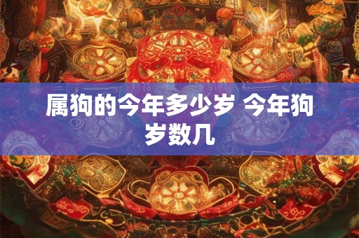 属狗的今年多少岁 今年狗岁数几