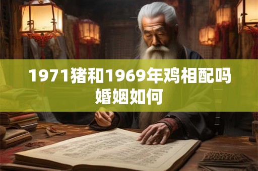 1971猪和1969年鸡相配吗婚姻如何