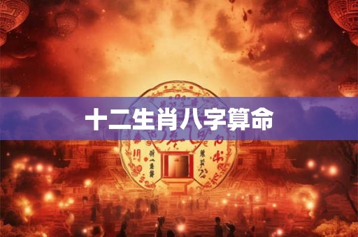 十二生肖八字算命
