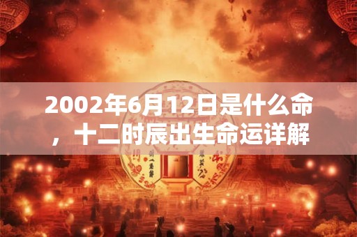 2002年6月12日是什么命，十二时辰出生命运详解