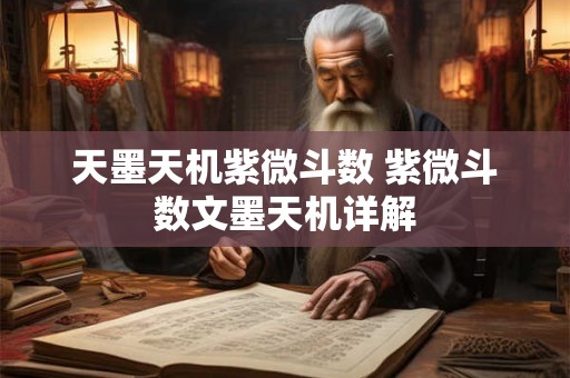 天墨天机紫微斗数 紫微斗数文墨天机详解