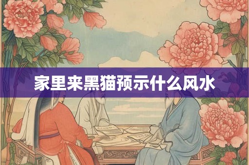 家里来黑猫预示什么风水