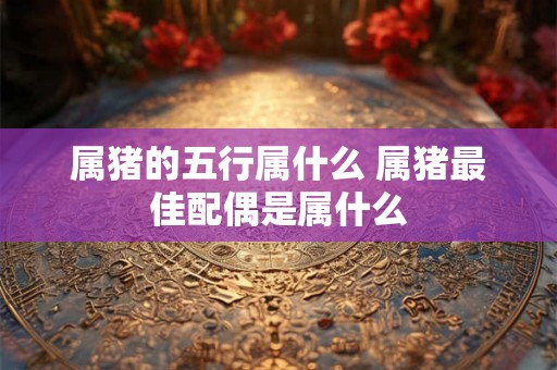属猪的五行属什么 属猪最佳配偶是属什么