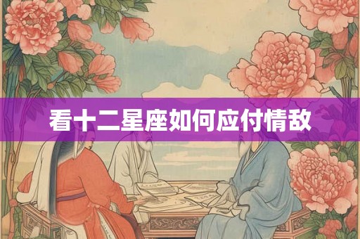 看十二星座如何应付情敌