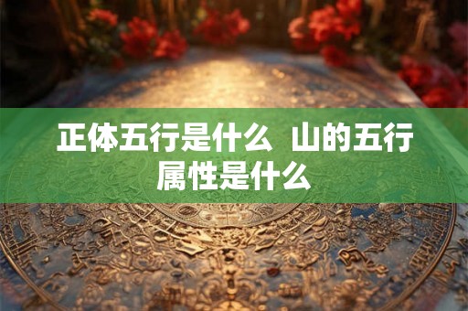正体五行是什么  山的五行属性是什么