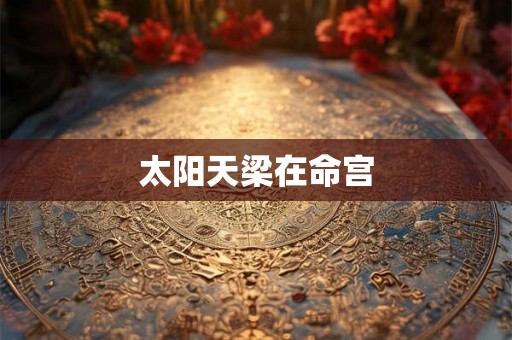 太阳天梁在命宫