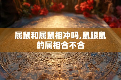 属鼠和属鼠相冲吗,鼠跟鼠的属相合不合