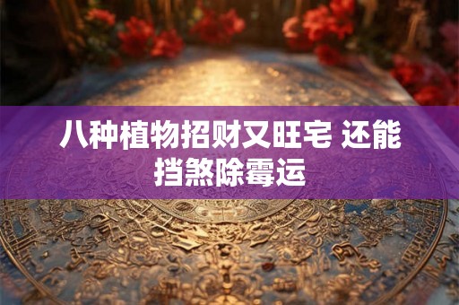 八种植物招财又旺宅 还能挡煞除霉运