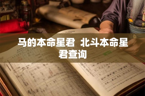 马的本命星君  北斗本命星君查询