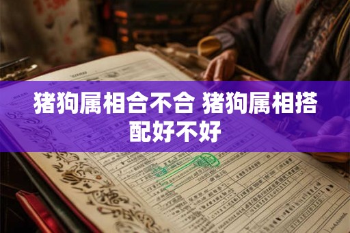 猪狗属相合不合 猪狗属相搭配好不好