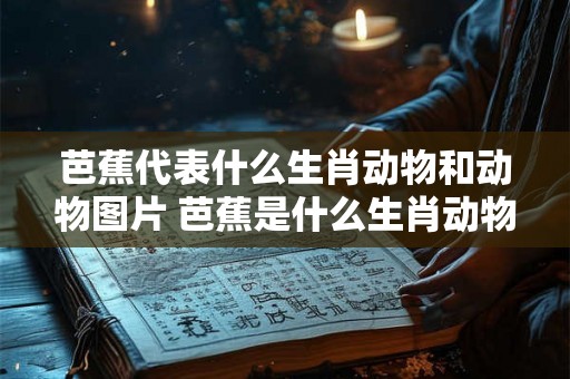 芭蕉代表什么生肖动物和动物图片 芭蕉是什么生肖动物
