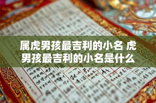 属虎男孩最吉利的小名 虎男孩最吉利的小名是什么