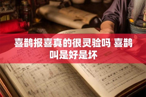 喜鹊报喜真的很灵验吗 喜鹊叫是好是坏