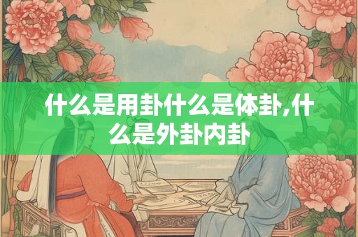 什么是用卦什么是体卦,什么是外卦内卦