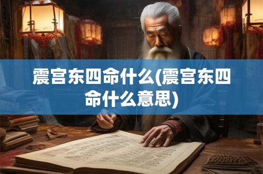 震宫东四命什么(震宫东四命什么意思)