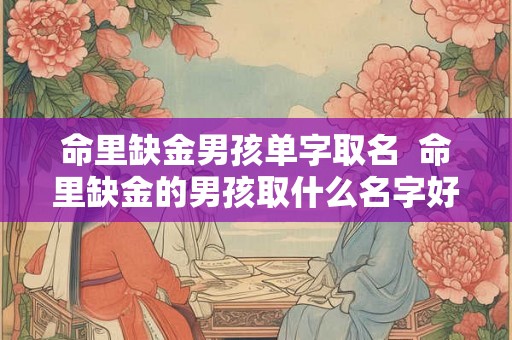命里缺金男孩单字取名  命里缺金的男孩取什么名字好猪年