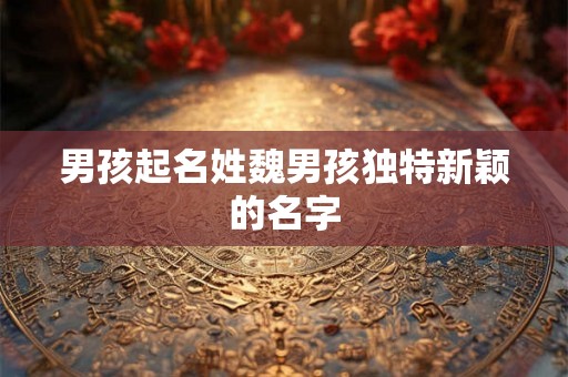 男孩起名姓魏男孩独特新颖的名字