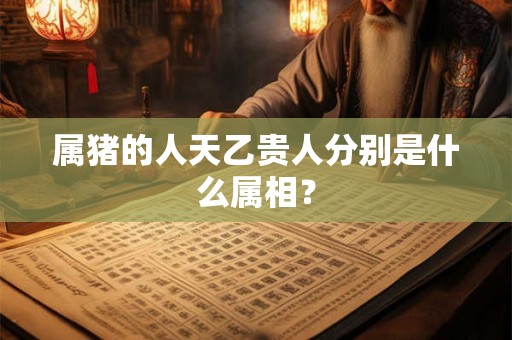 属猪的人天乙贵人分别是什么属相？