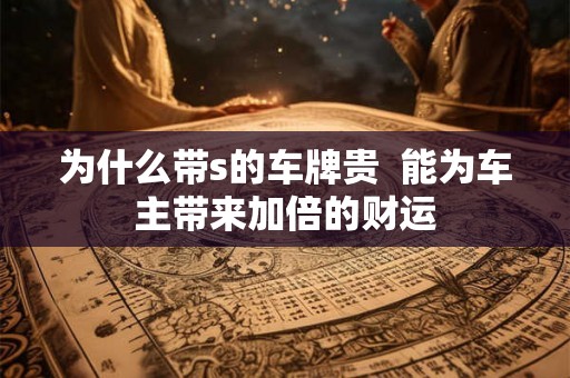 为什么带s的车牌贵  能为车主带来加倍的财运